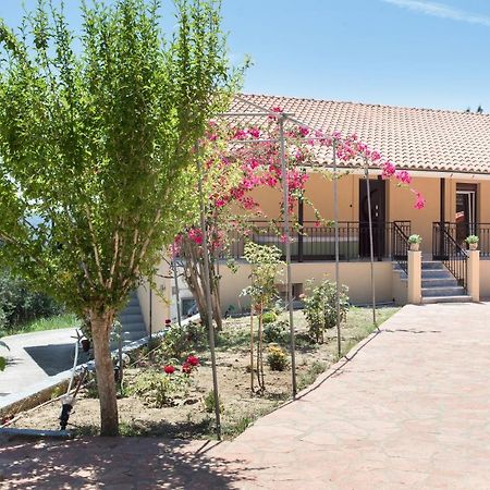 הוילה Evropouloi Olive Tree House מראה חיצוני תמונה